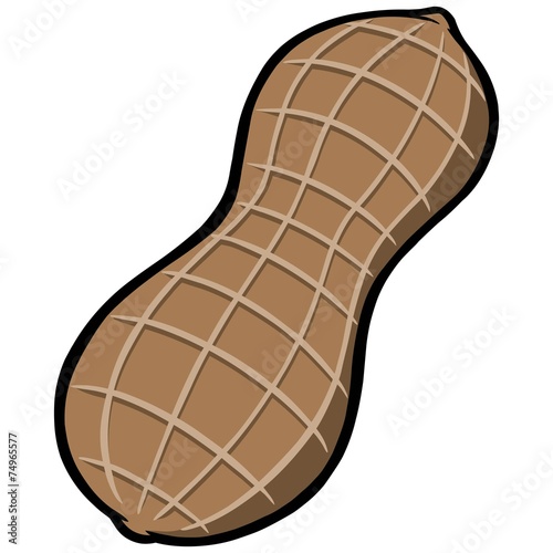Peanut