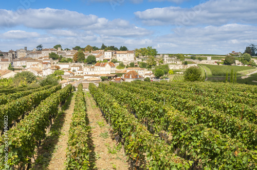 Vineyard at Saint-Emilion, France Fototapet