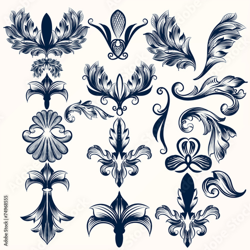 Collection of vector hand drawn fleur de lis and swirls in vinta photo
