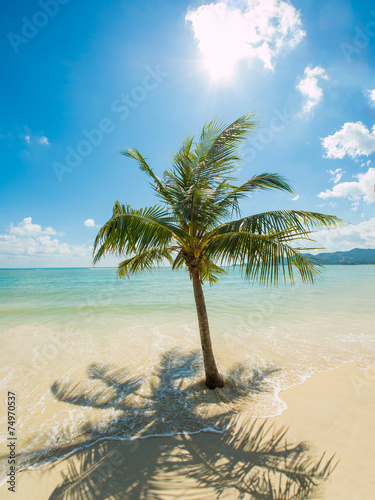 Tropical beach of Koh Samui island