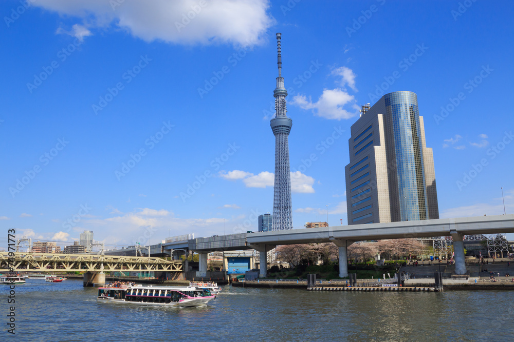 Fototapeta premium Tokyo Sky Tree and Sumida river in Tokyo
