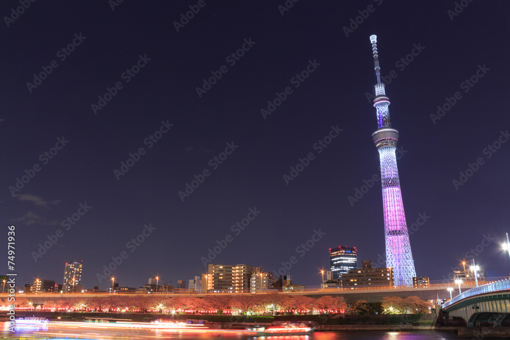 Obraz premium Tokyo Sky Tree and Sumida river in Tokyo at night