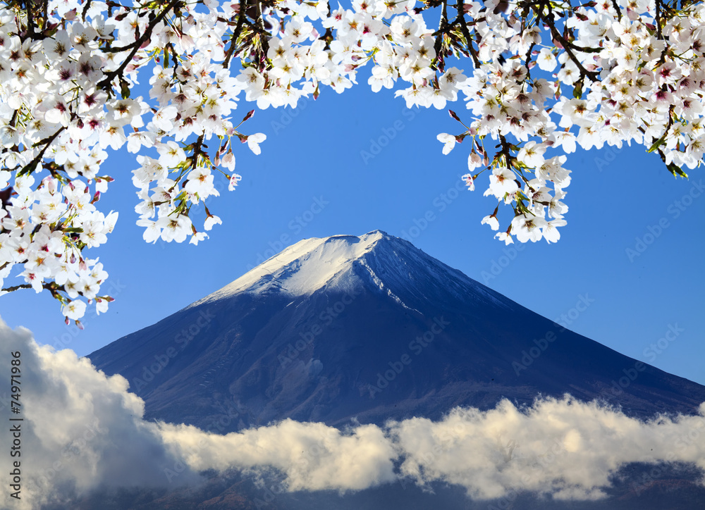 the sacred mountain of Fuji in the background of blue sky at Jap - obrazy, fototapety, plakaty 