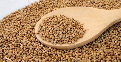 Coriander seed in wooden spoon