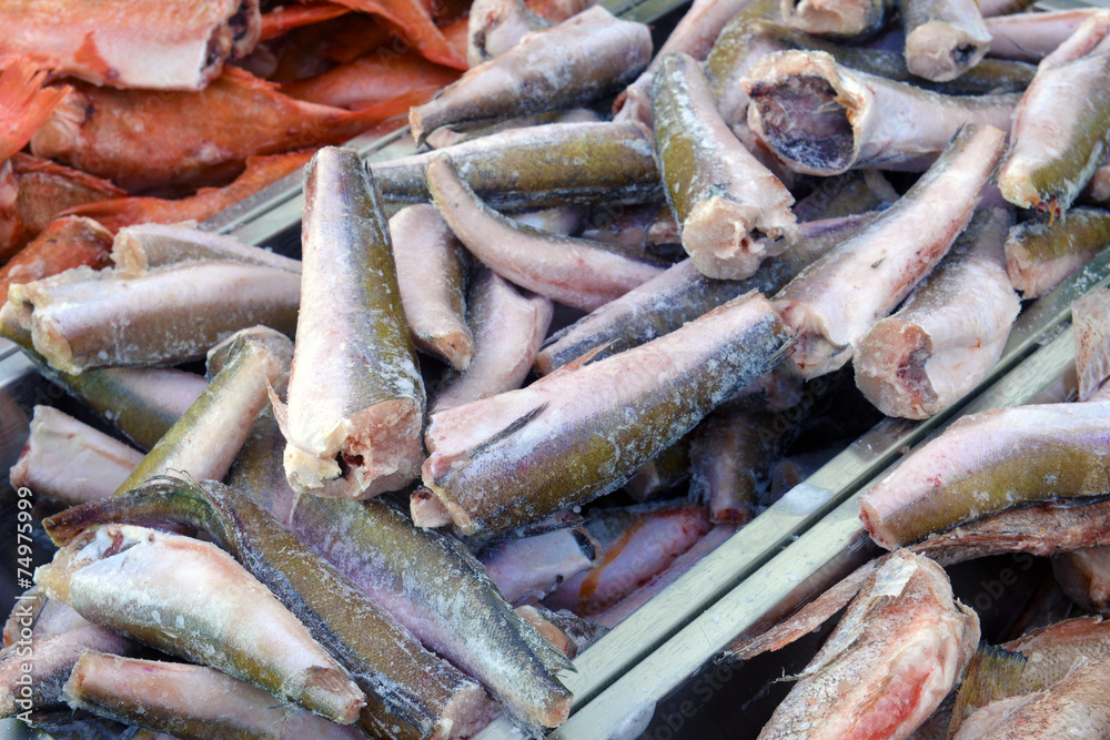 Obraz premium frozen hake