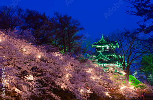 Cherry blossoms at the Takada Park and the Takada Castle in Joet