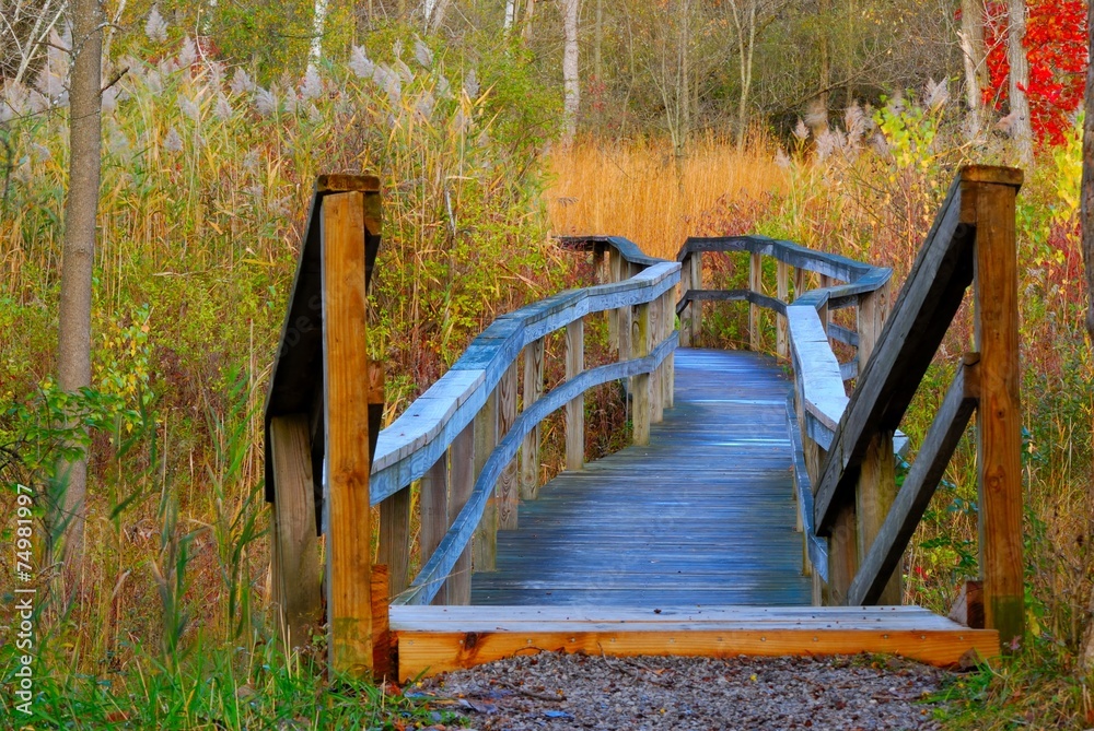Obraz premium Nature Trail
