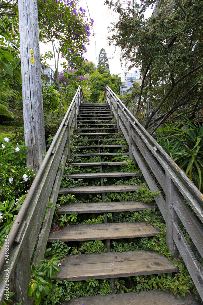 Filbert steps San Francisco Filbert steps San Francisco