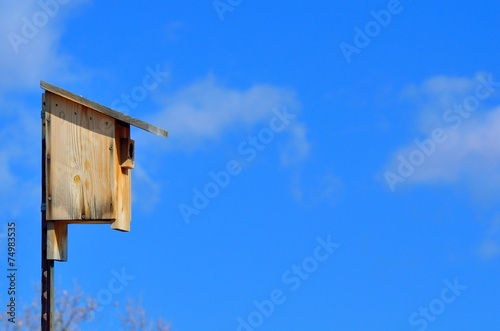 Bluebird Nesting Box