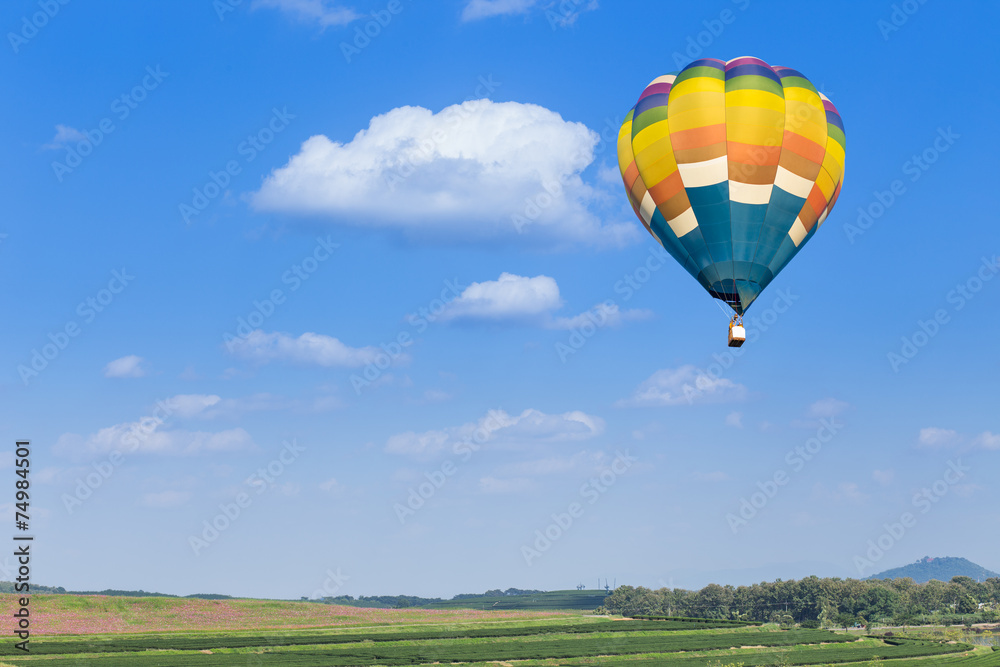 Obraz premium Hot air balloon with green nature background