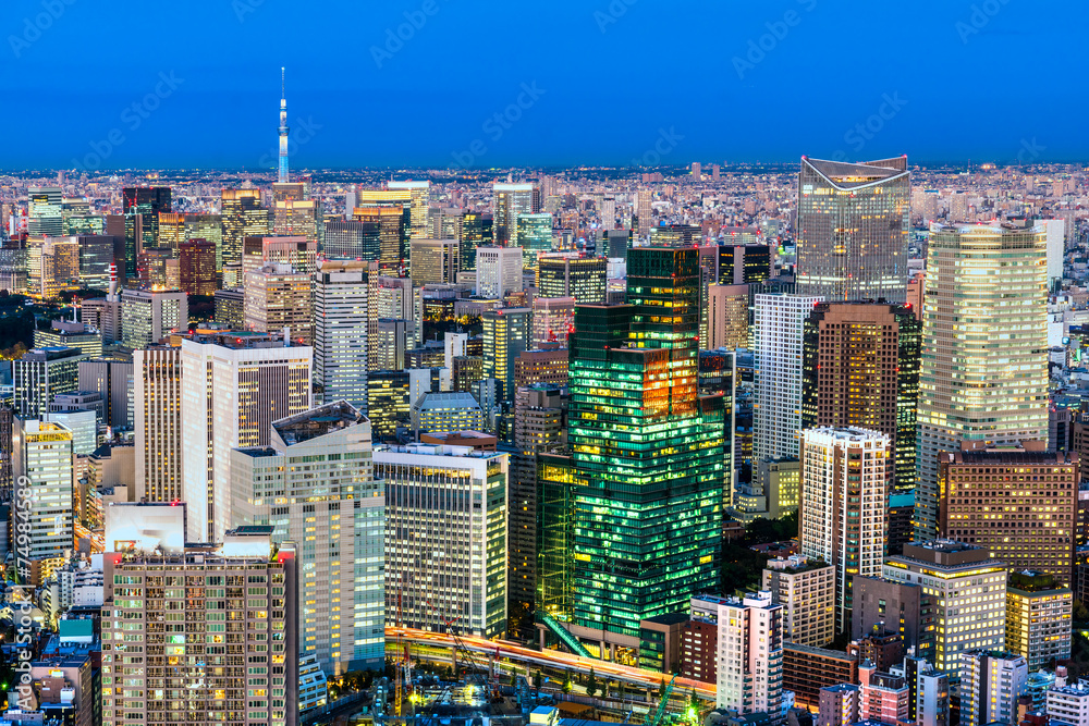 Naklejka premium Tokyo skyline, Japan.