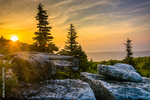 Sunrise at Bear Rocks Preserve, in Dolly  Sods Wilderness, Monon photo