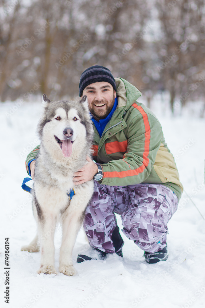 man with malamute man with malamute
