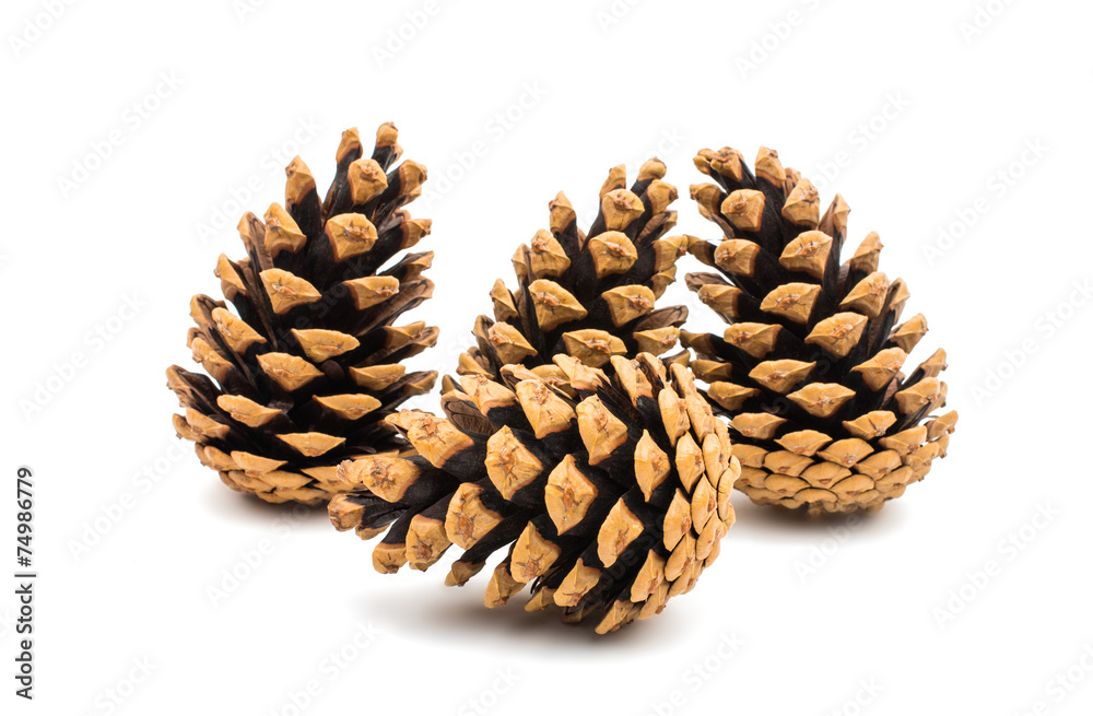 cones