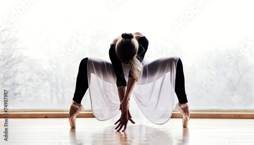 Canvas Print Ballet Dancer