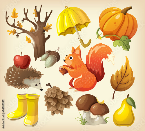Set of elements and items that represent autumn