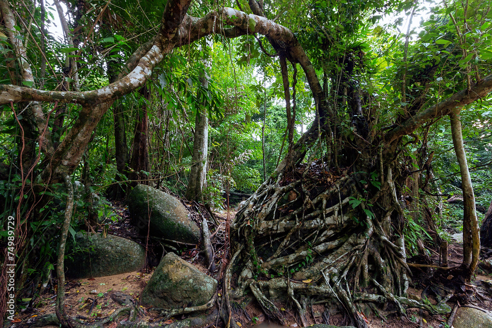 Obraz premium Hin Lad Waterfall