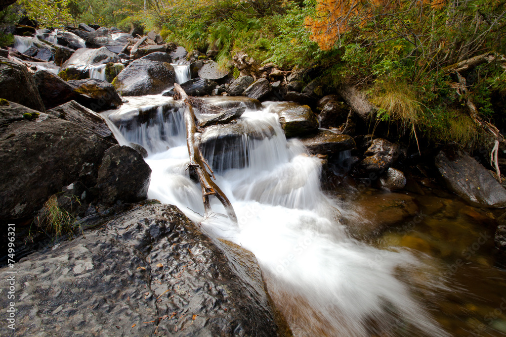 River deep in mountain forest. Nature composition. River deep in mountain forest. Nature composition.