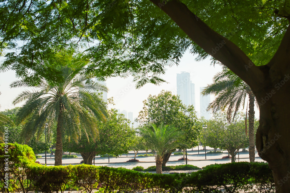 Obraz premium beautiful green park in the city of Dubai, United Arab Emirates