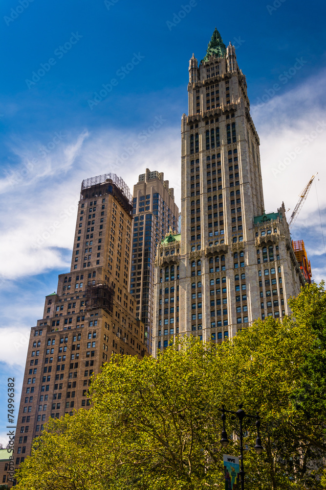 The Woolworth Building in Lower Manhattan, New York. The Woolworth Building in Lower Manhattan, New York.