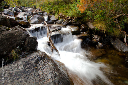 River deep in mountain forest. Nature composition.