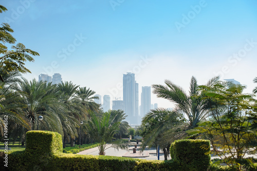 Photography beautiful green park on the background of skyscrapers houses