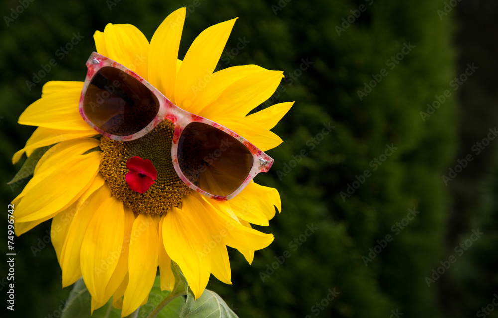 Fototapeta premium Little Miss Sunshine