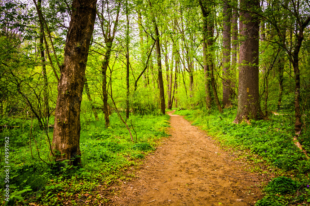 Trail through the forest at Lancaster County Central Park, Penns Trail through the forest at Lancaster County Central Park, Penns