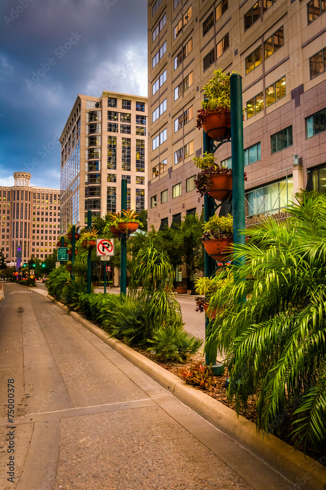 Buildings and landscaping along a street in Orlando, Florida.