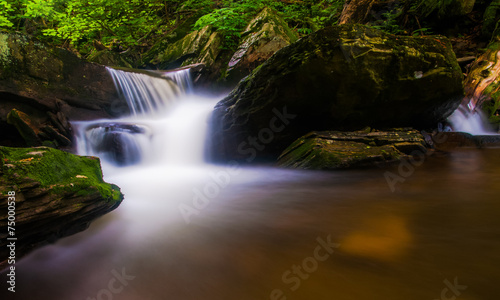 Cascade on a stream in Rickett s Glen State Park  Pennsylvania.