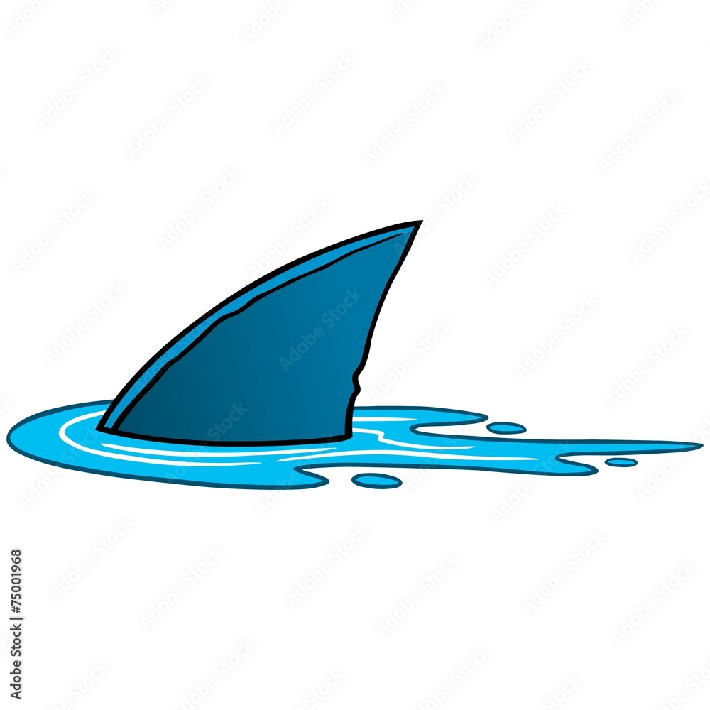 Obraz premium Shark Fin