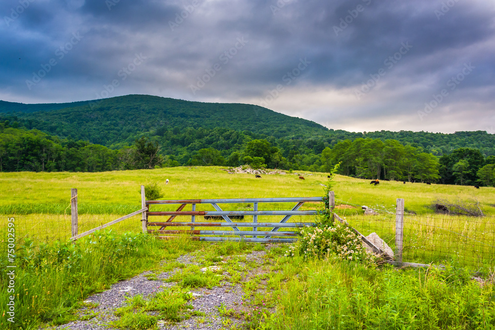 Fence and gate in a farm field in the Potomac Highlands of West
