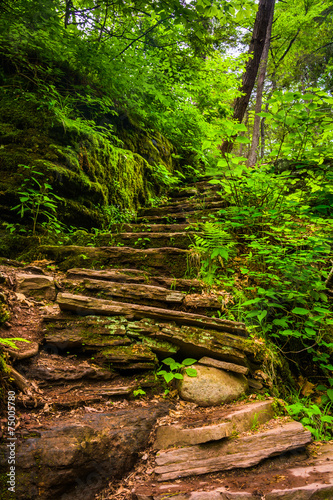 Rock staircase on a trail at Rickett s Glen State Park  Pennsylv