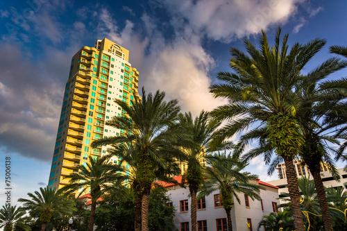Skyscraper and palm trees in Saint Petersburg, Florida. © jonbilous
