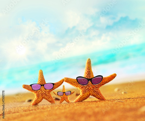 Starfish on the beach © Belight