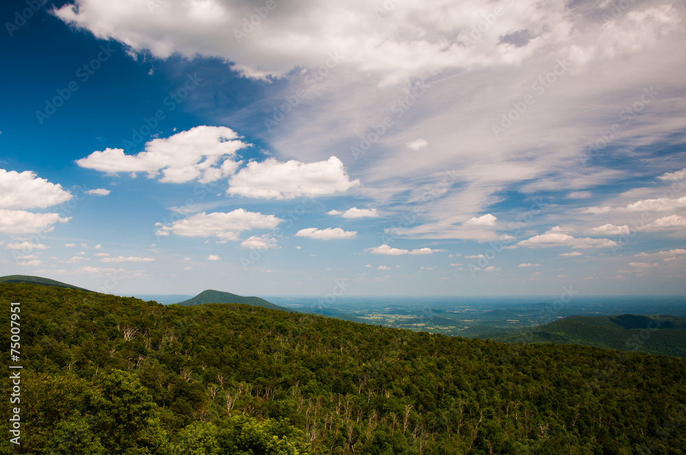 Beautiful summer sky over Piedmont, seen from Skyline Drive in S Beautiful summer sky over Piedmont, seen from Skyline Drive in S
