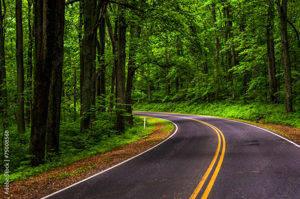 Curve along Skyline Drive in Shenandoah National Park, Virginia. Curve along Skyline Drive in Shenandoah National Park, Virginia.