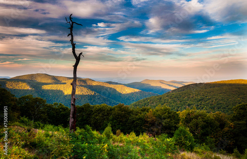 Evening view of the Appalachians from Thoroughfare Overlook, alo