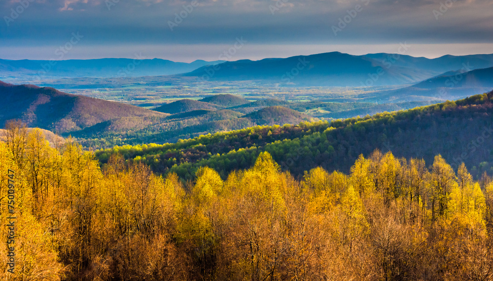 Morning view from Skyline Drive in Shenandoah National Park, Vir Morning view from Skyline Drive in Shenandoah National Park, Vir