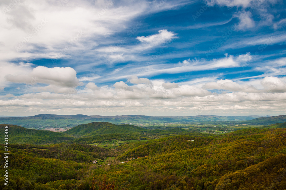 Spring colors in the Appalachian Mountains and Shenandoah Valley