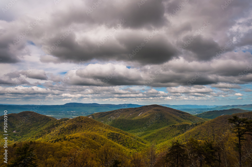 Spring colors in the Appalachians on a cloudy day, seen from Sky