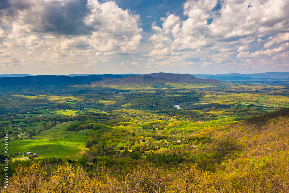 Spring view of the Shenandoah Valley from Skyline Drive in Shena