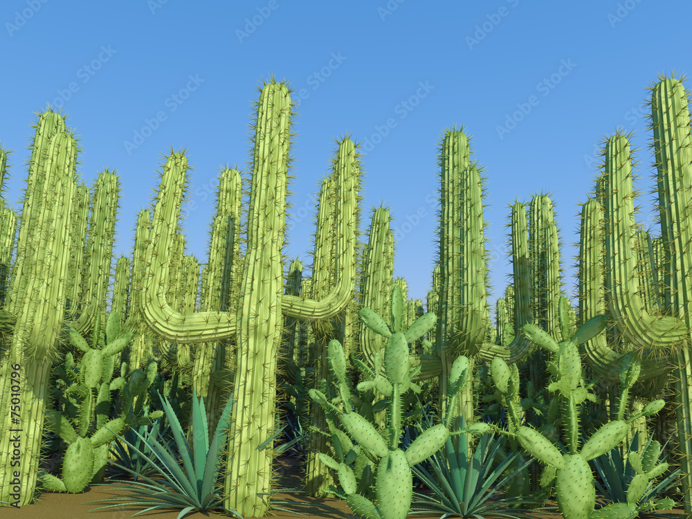 cactus on a sky background cactus on a sky background