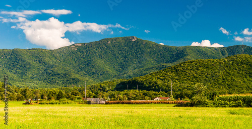Fototapeta Naklejka Na Ścianę i Meble -  The Blue Ridge Mountains, seen from the Shenandoah Valley, Virgi