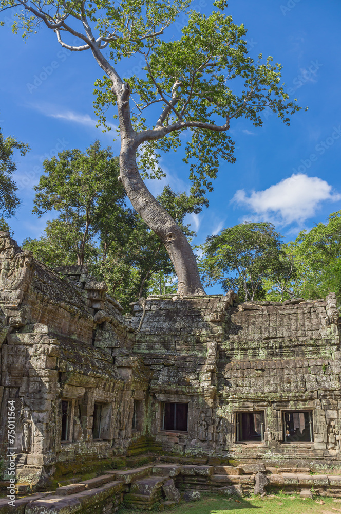 Naklejka premium Angkor, Kambodża