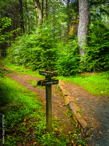 Trail marker along the Limberlost Trail, in Shenandoah National photo