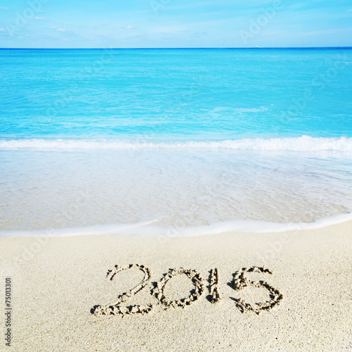 Welcoming the new year of 2015 at the beach © Tierney