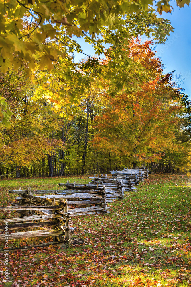 Autumn Fence