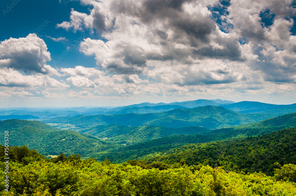 View of the Blue Ridge Mountains from Skyline Drive in Shenandoa View of the Blue Ridge Mountains from Skyline Drive in Shenandoa