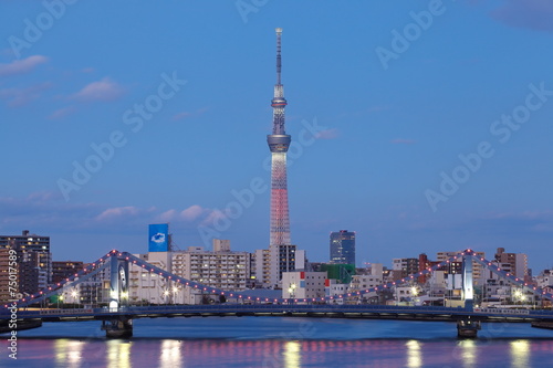 Tokyo sky tree with red christmas light up